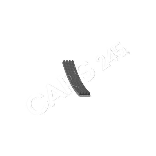 Swag elastic ribbed belt for - belt,