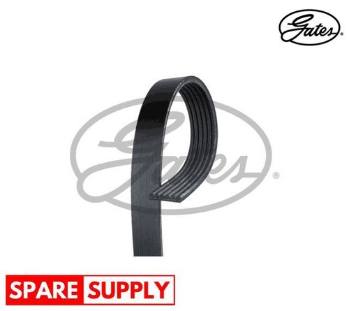 Ribbed belts for - for, 306