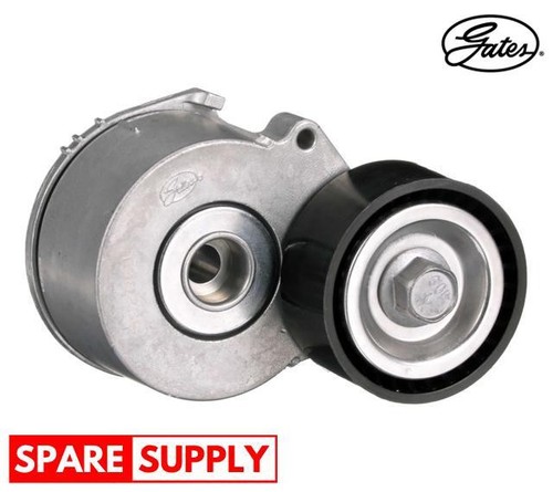 Tensioner pulley ribbed - tensioner, pulley,